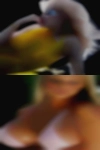 Swinger personals Laurens